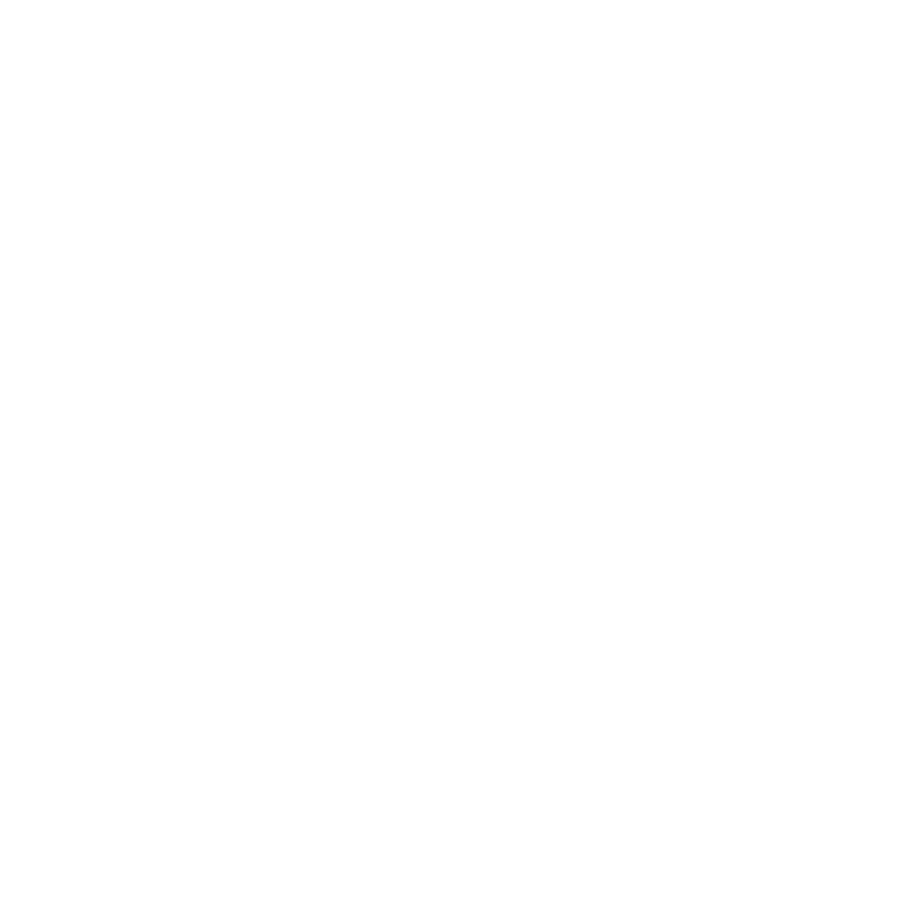 Spin 1